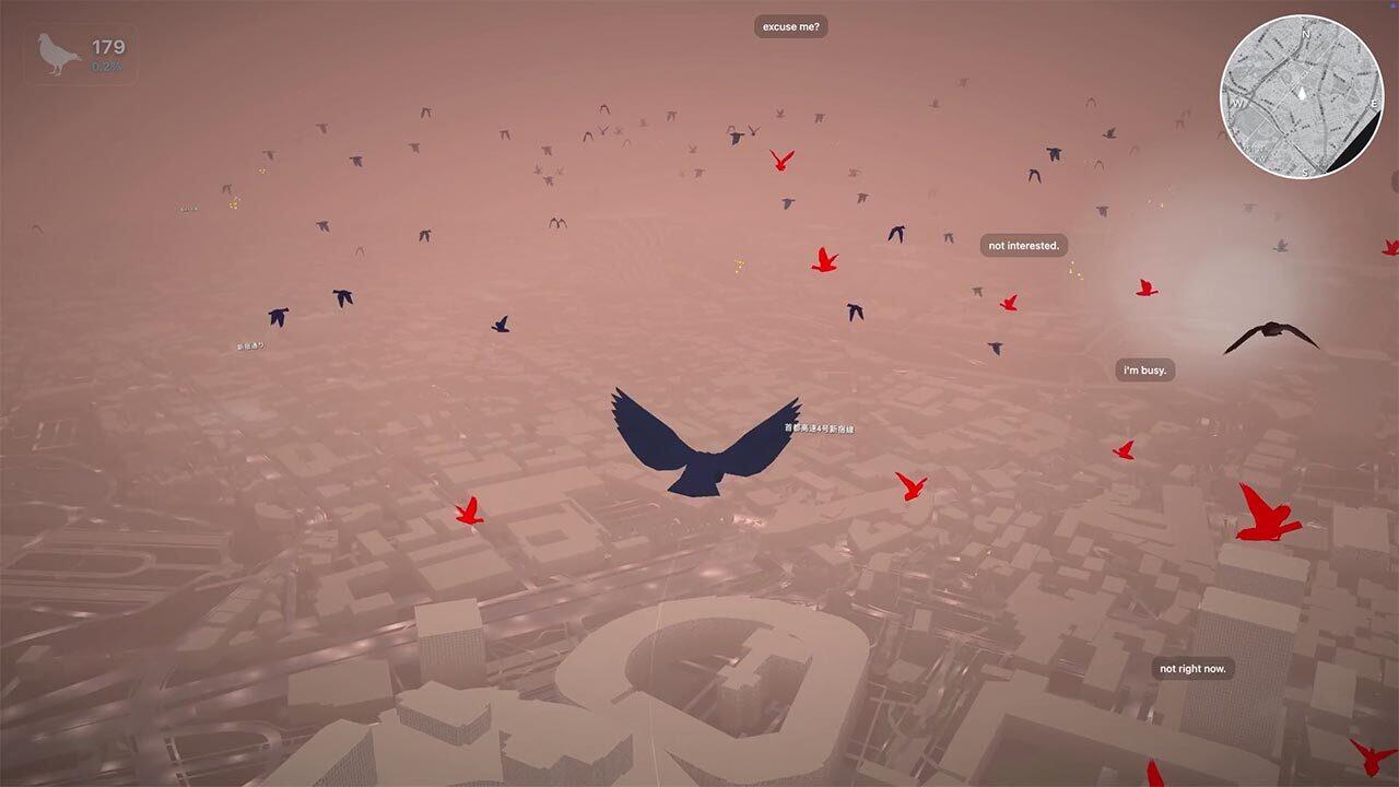 Pigeon: A Love Story